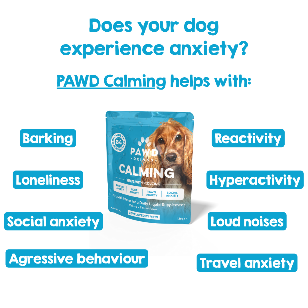 PAWD DRINKS - Calming Powder (1-Pack) - Up To 84 Days