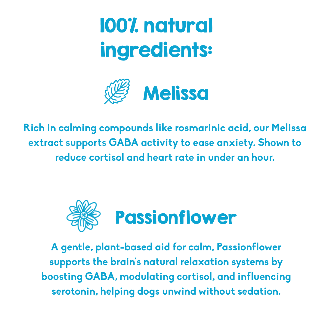 Calming Powder (1-Pack) for Large Dogs - Natural Dog Anxiety Support - 126g