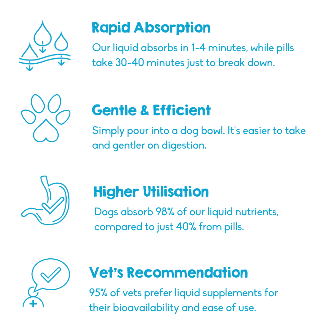 Calming Powder (1-Pack) for Large Dogs - Natural Dog Anxiety Support - 126g