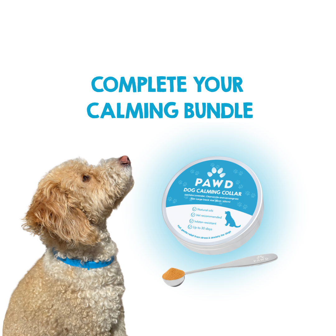 PAWD Calming Starter Kit | Collar & Scoop