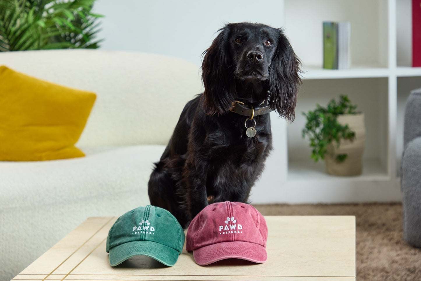 Baseball Cap