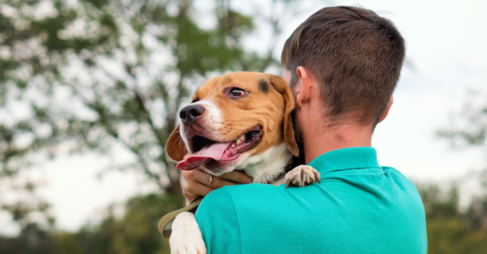 How Owning A Dog Can Help Your Own Anxiety