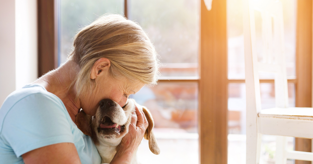 Does your dog hate thunderstorms?
