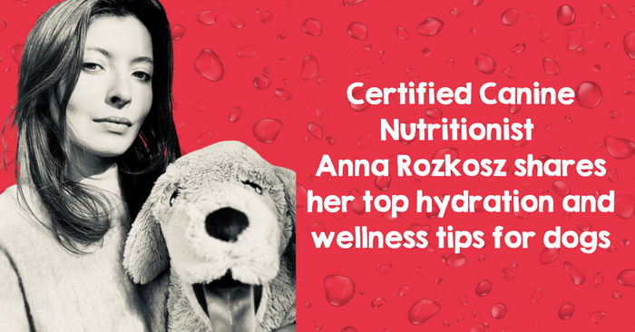 Certified Canine Nutritionist shares her top hydration and wellness tips for dogs