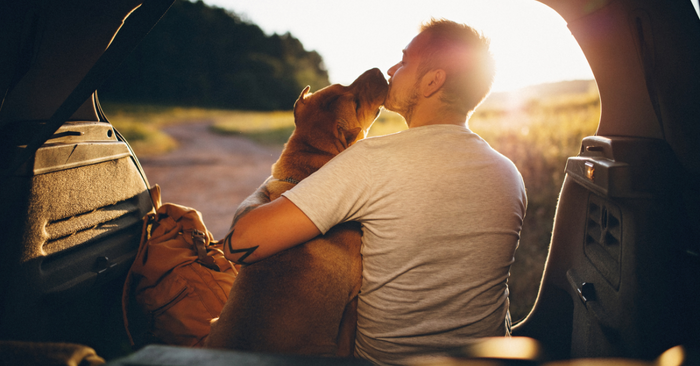 Why Your Dog Hates the Car and How to Change That