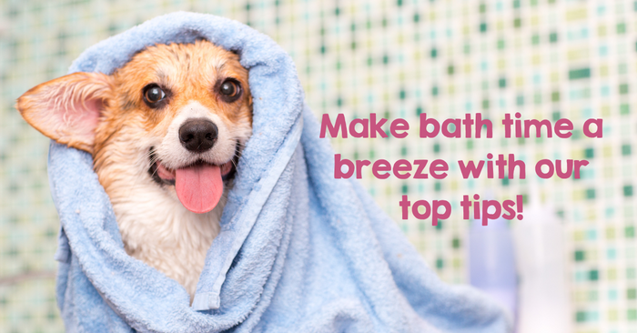 how to create a calming bath experience for your dog