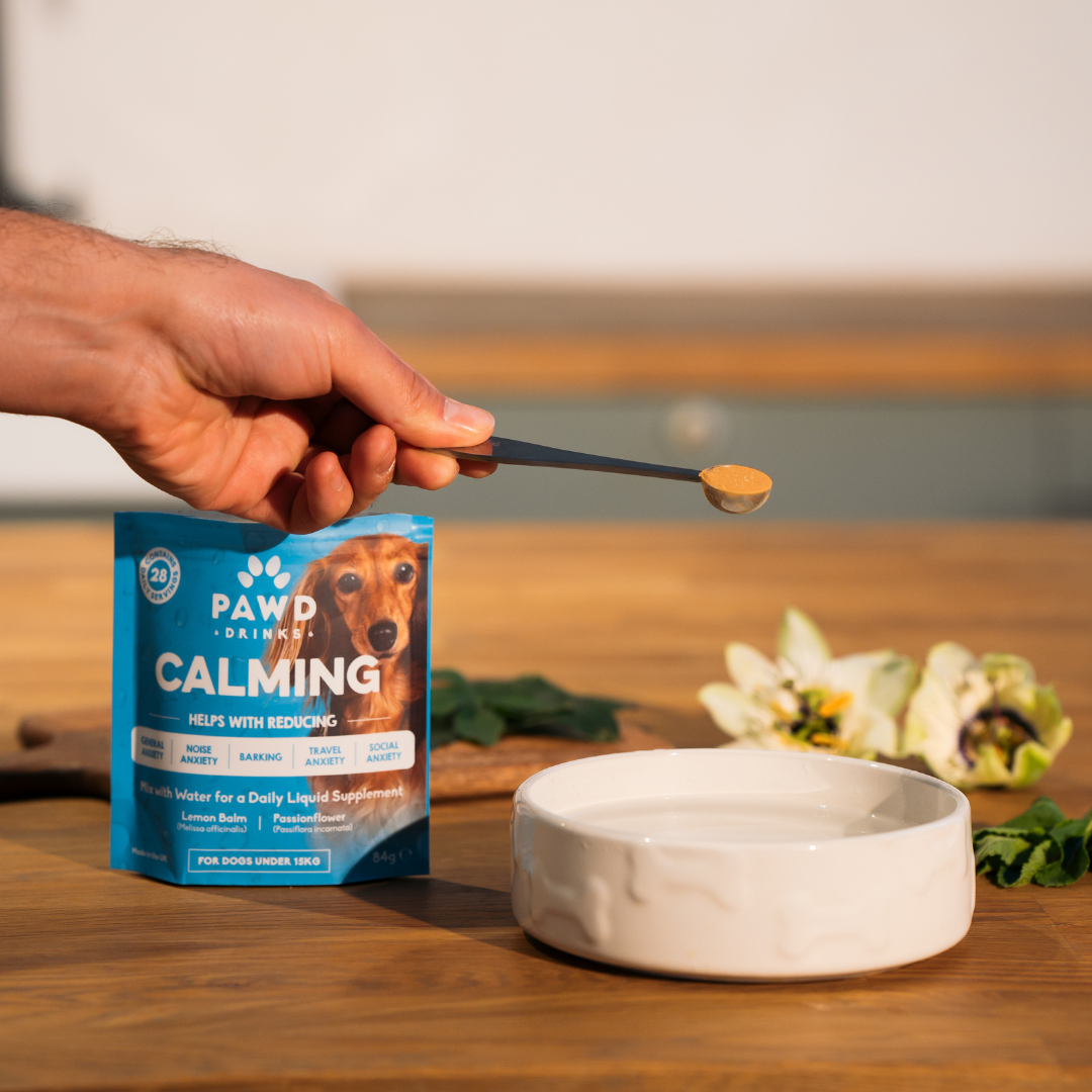 A hand holds a spoonful of brown powder next to a bag of Pawd Drinks Calming dog supplement.