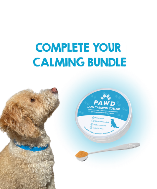 PAWD Calming Starter Kit | Collar & Scoop