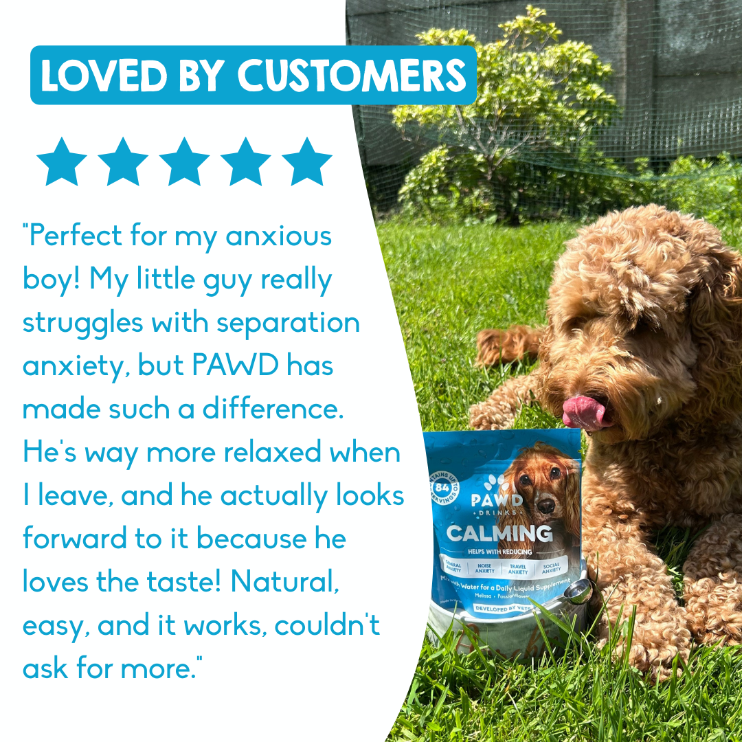Calming Powder (3-Pack) for Large Dogs - Natural Dog Anxiety Support - 126g