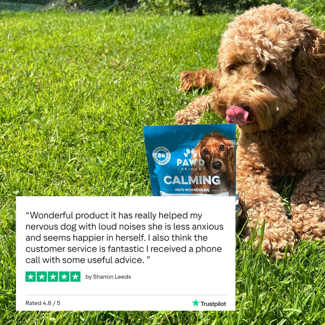 Calming Powder (1-Pack) for Large Dogs - Natural Dog Anxiety Support - 126g