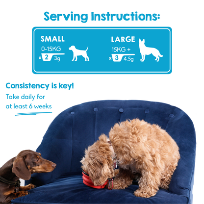 Calming Powder (3-Pack) for Large Dogs - Natural Dog Anxiety Support - 126g